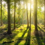 grow-billion-generate-oxygen