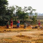 grow-billion-trees-for-employment