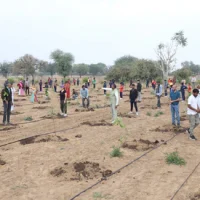 grow-billion-trees-plantation-1