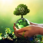 grow-billion-trees-to-offset-carbon-footprint