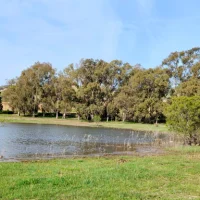 iStock-1409533832-lake-restoration