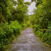 iStock-512046727-miyawaki